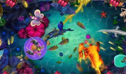 金蟾捕鱼捕鱼平台