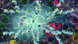 星力九代幸运六狮